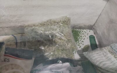 Nueva entrega de alimentos de la Bolsa de Caridad de la Hermandad