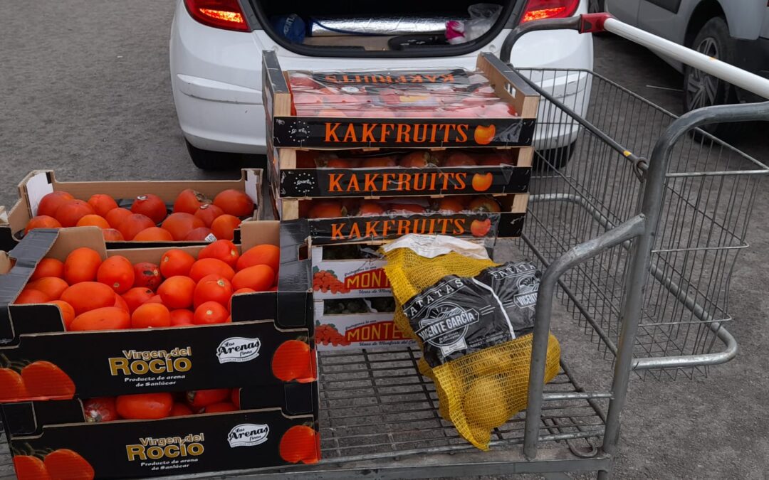 Nuevas entregas de alimentos de la Bolsa de Caridad de la Hermandad