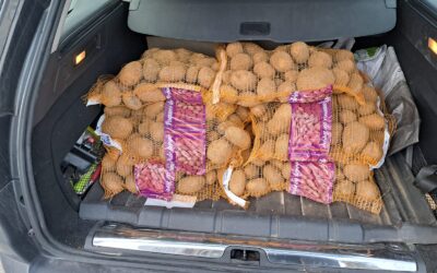 Nueva entrega de alimentos de la Bolsa de Caridad