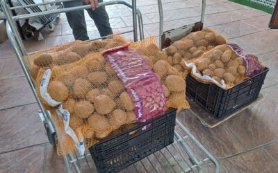 Nueva entrega de alimentos de la Bolsa de Caridad