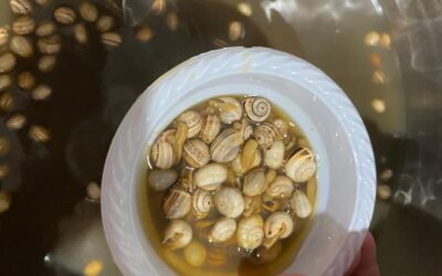 Ayer celebramos la Convivencia-Caracolá de nuestra Hermandad