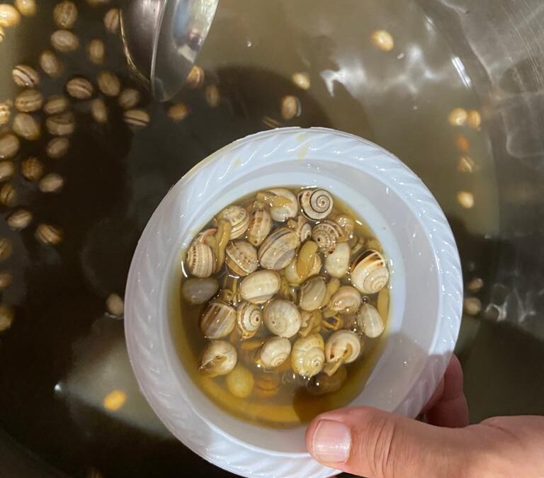 Ayer celebramos la Convivencia-Caracolá de nuestra Hermandad