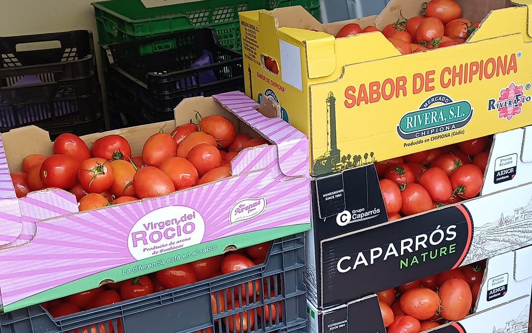 Nuevo reparto de alimentos de la Bolsa de Caridad de la Hermandad