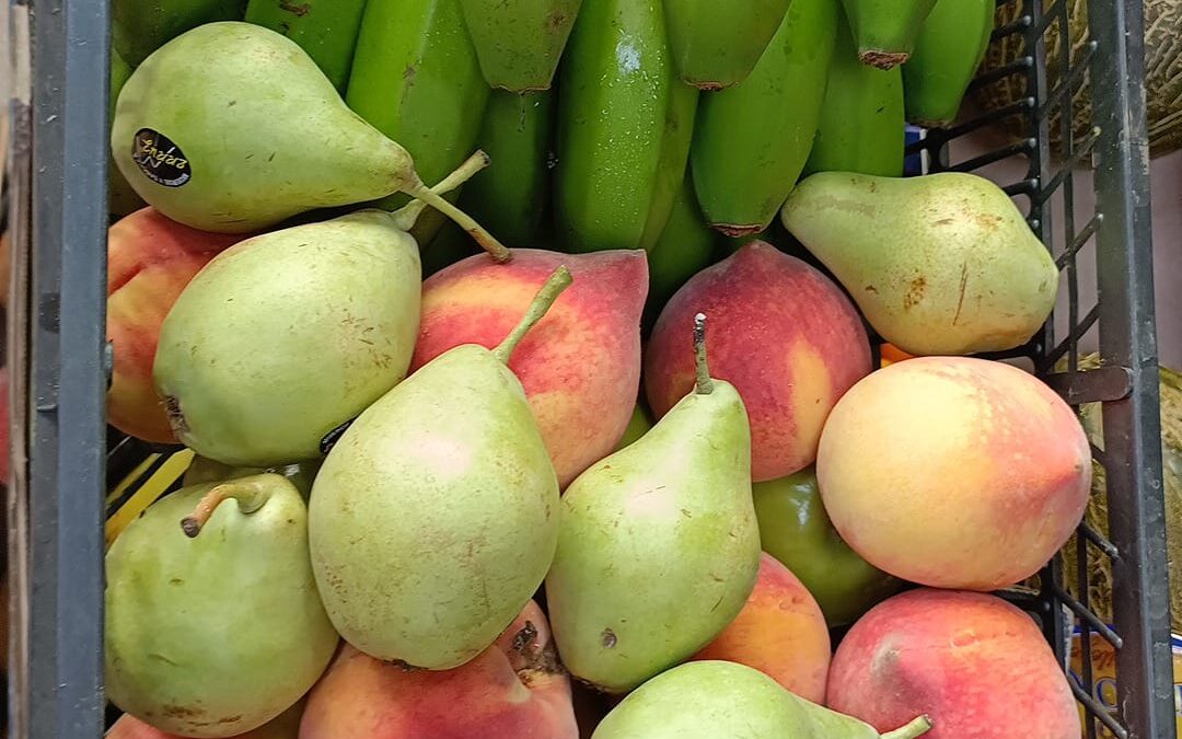 La Bolsa de Caridad colabora con la colonia de verano «Semillas de Esperanza»