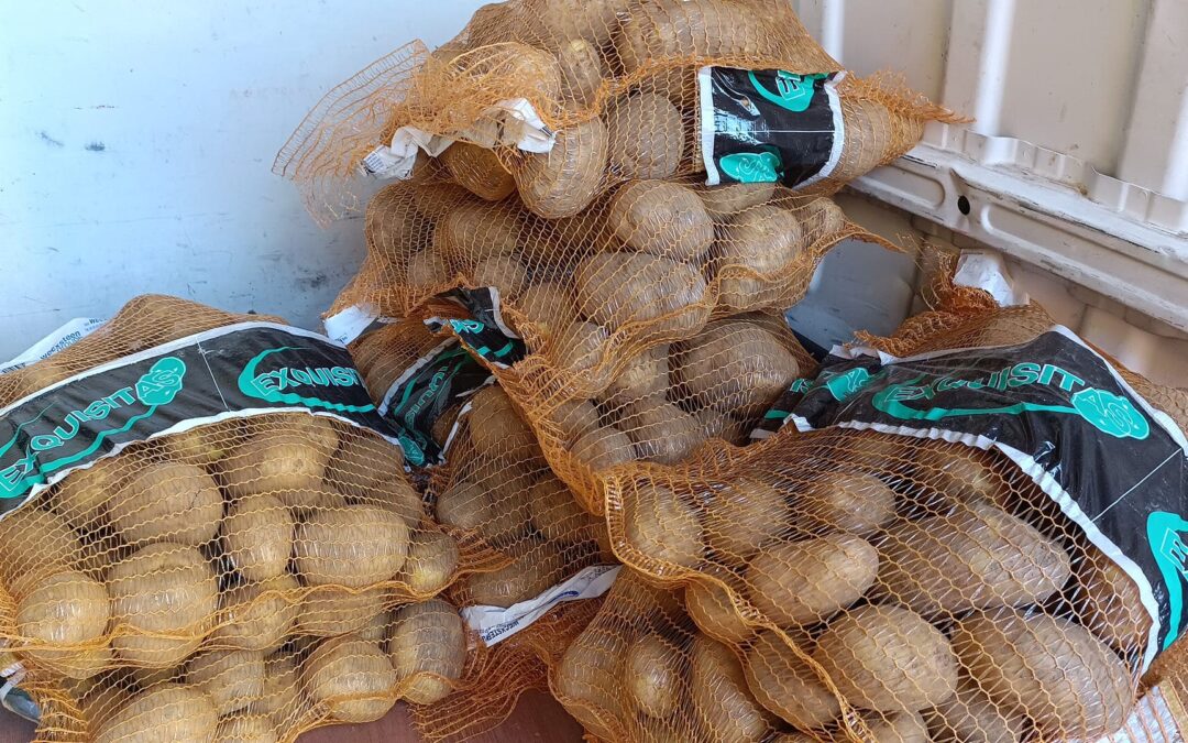 Nueva entrega de alimentos de la Bolsa de Caridad de nuestra Hermandad