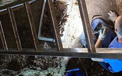 Continúan los trabajos de la segunda fase de la intervención arqueológica en la Cripta de los Carrizosa