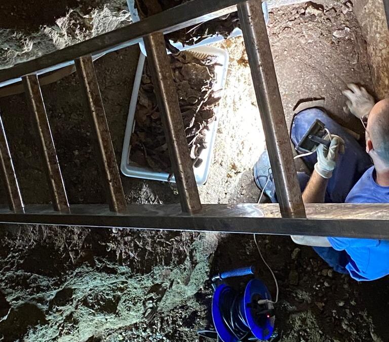 Continúan los trabajos de la segunda fase de la intervención arqueológica en la Cripta de los Carrizosa