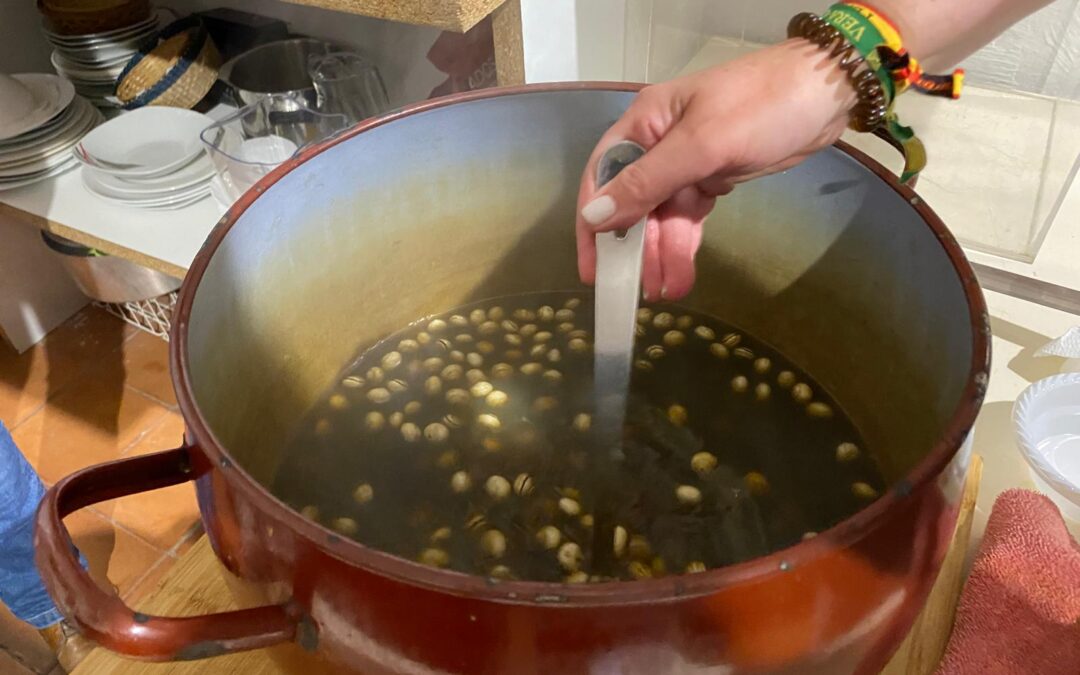 Caracolá-convivencia de cierre de curso de la Hermandad