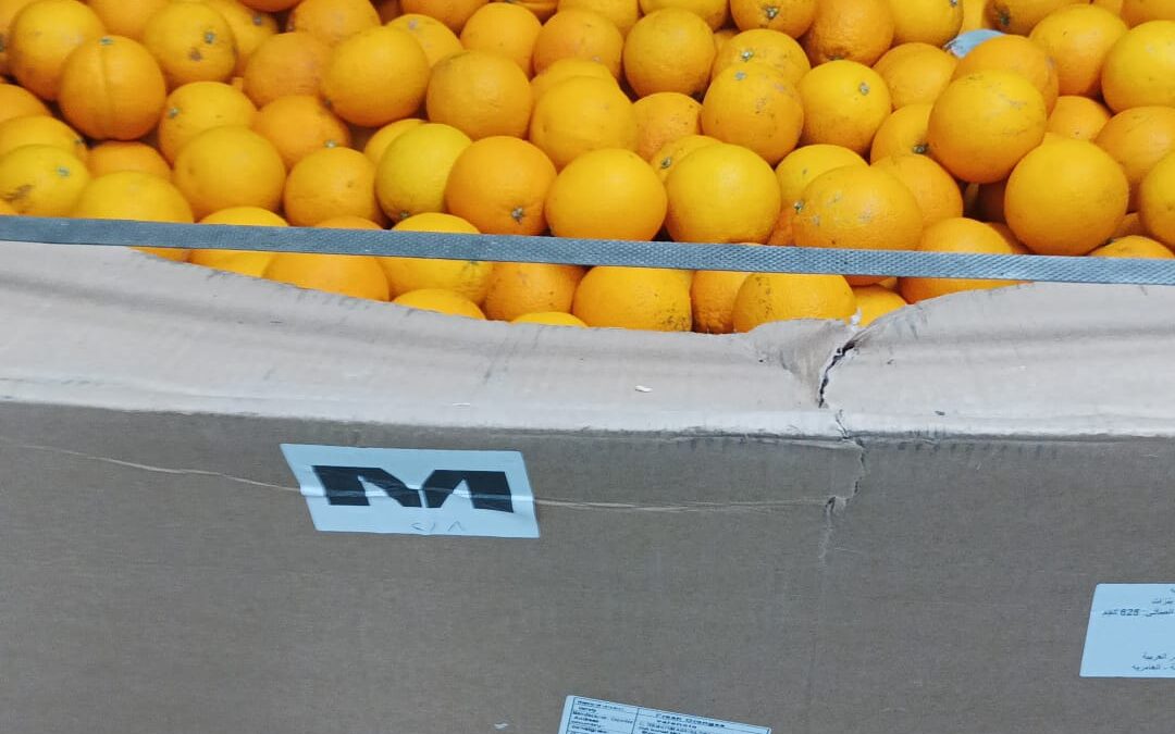 Nuevo reparto de alimentos de la Bolsa de Caridad de nuestra Hermandad de la Santa Vera Cruz