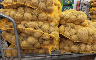 Nueva entrega de alimentos de la Bolsa de alimentos de la Bolsa de Caridad de la Hermandad