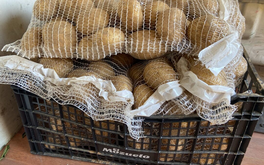 Nueva entrega de alimentos de la Bolsa de Caridad de la Hermandad